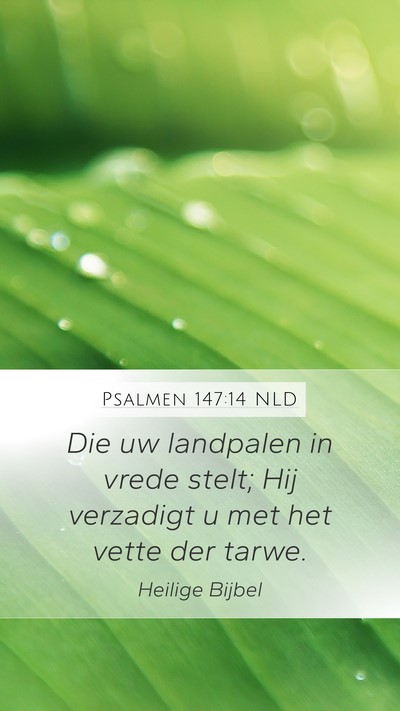 Psalmen 147:14 NLD Bible Verse Image