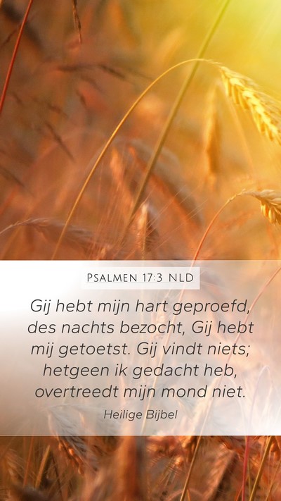Psalmen 17:3 NLD Bible Verse Image