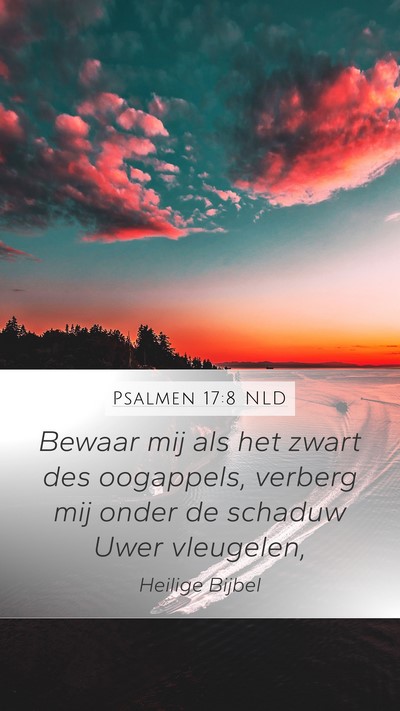 Psalmen 17:8 NLD Bible Verse Image