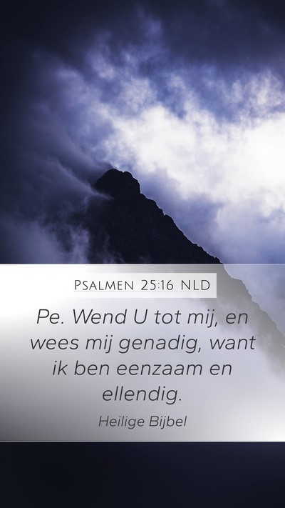 Psalmen 25:16 NLD Bible Verse Image