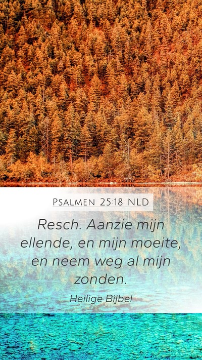 Psalmen 25:18 NLD Bible Verse Image