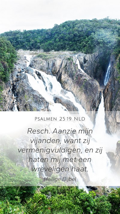 Psalmen 25:19 NLD Bible Verse Image