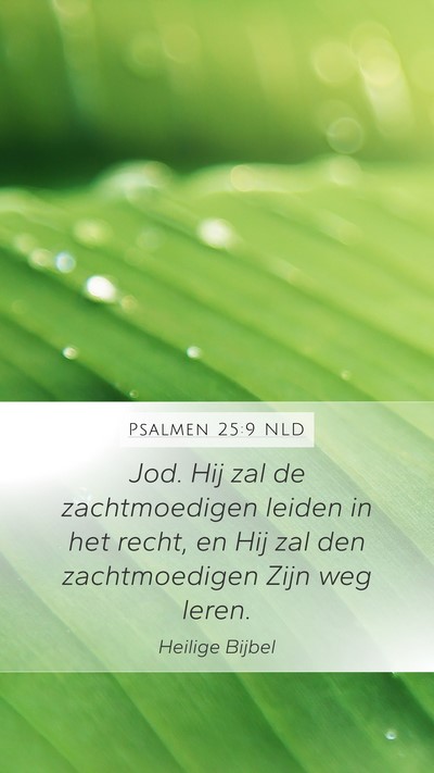Psalmen 25:9 NLD Bible Verse Image