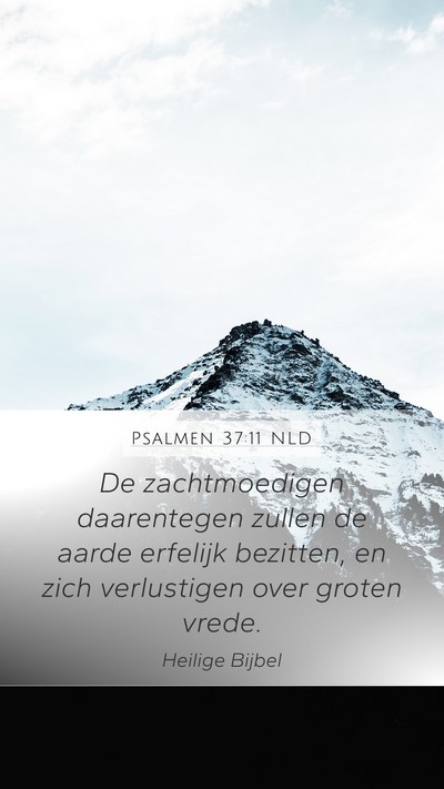 Psalmen 37:11 NLD Bible Verse Image