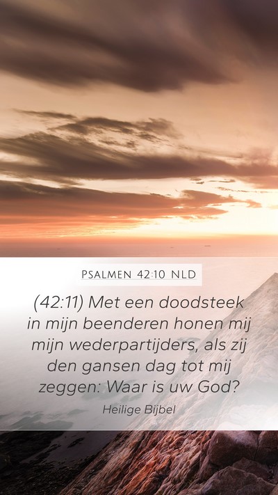 Psalmen 42:10 NLD Bible Verse Image