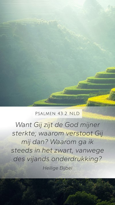 Psalmen 43:2 NLD Bible Verse Image