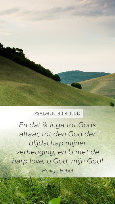 Psalmen 43:4 NLD Bible Verse Image