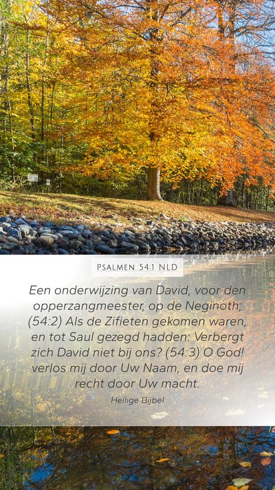 Psalmen 54:1 NLD Bible Verse Image