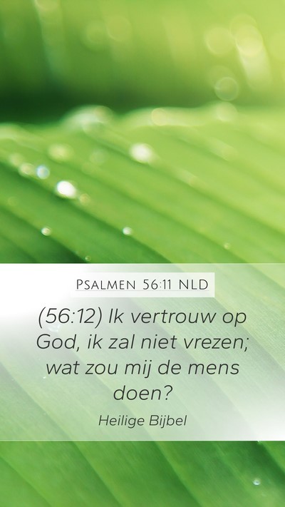 Psalmen 56:11 NLD Bible Verse Image
