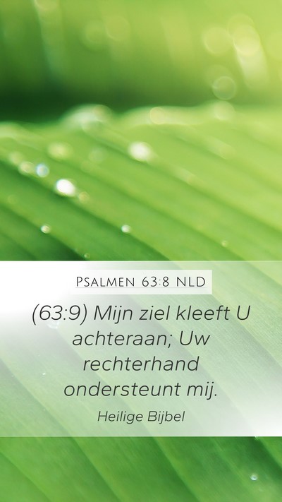 Psalmen 63:8 NLD Bible Verse Image