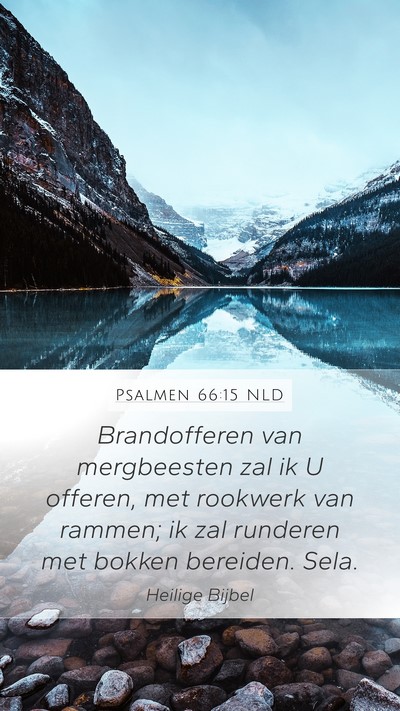 Psalmen 66:15 NLD Bible Verse Image
