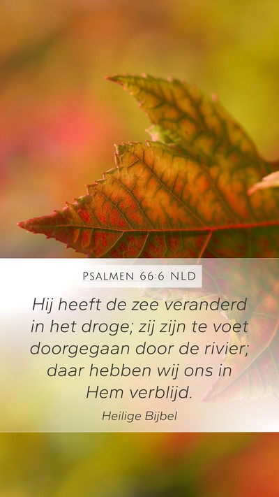 Psalmen 66:6 NLD Bible Verse Image