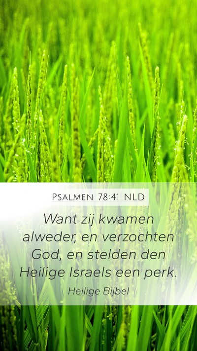 Psalmen 78:41 NLD Bible Verse Image