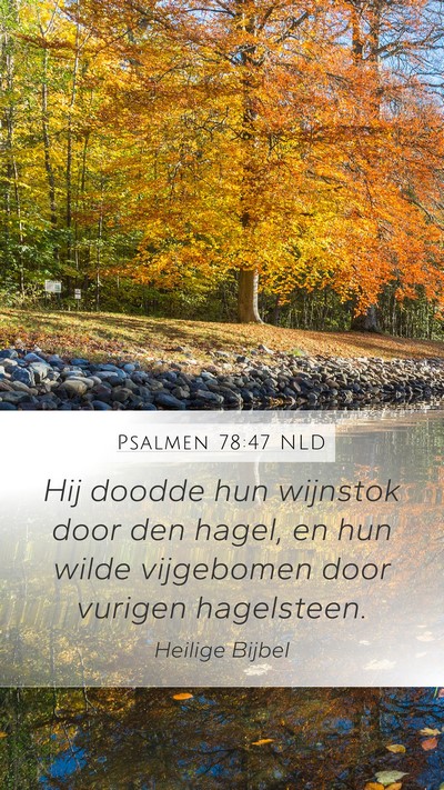 Psalmen 78:47 NLD Bible Verse Image
