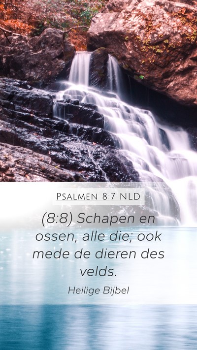 Psalmen 8:7 NLD Mobile Phone Wallpaper - (8:8) Schapen en ossen, alle die; ook mede de - Mobile Bible Verse Wallpaper