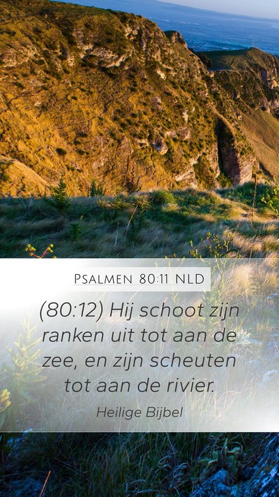 Psalmen 80:11 NLD Bible Verse Image