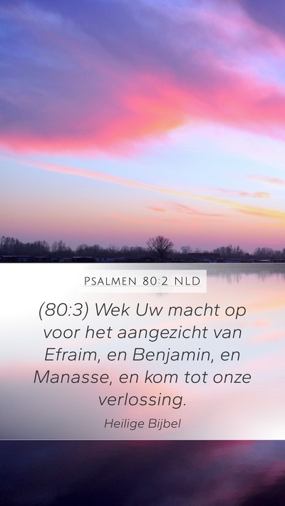 Psalmen 80:2 NLD Bible Verse Image