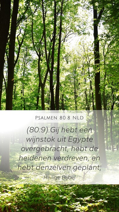 Psalmen 80:8 NLD Bible Verse Image