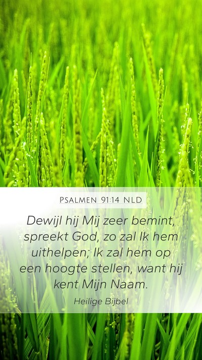 Psalmen 91:14 NLD Bible Verse Image