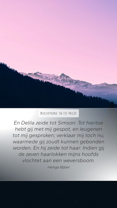 Richtere 16:13 NLD Bible Verse Image