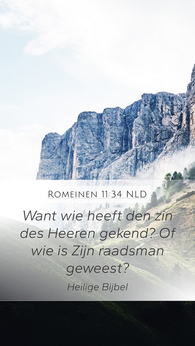 Romeinen 11:34 NLD Bible Verse Image