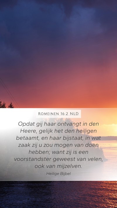 Romeinen 16:2 NLD Bible Verse Image