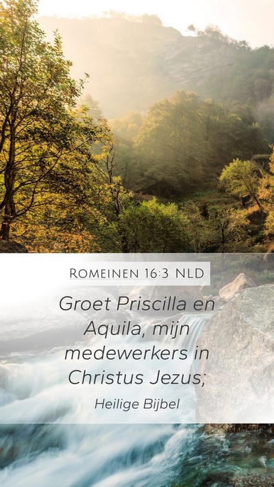 Romeinen 16:3 NLD Bible Verse Image