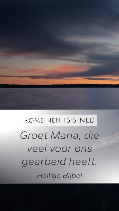 Romeinen 16:6 NLD Mobile Phone Wallpaper - Groet Maria, die veel voor ons gearbeid - Mobile Bible Verse Wallpaper