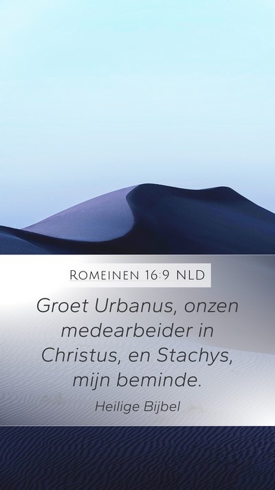 Romeinen 16:9 NLD Bible Verse Image
