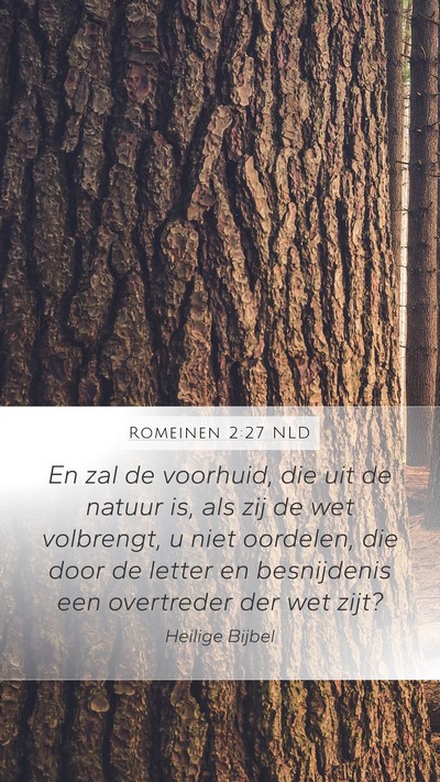Romeinen 2:27 NLD Bible Verse Image