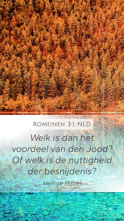 Romeinen 3:1 NLD Bible Verse Image