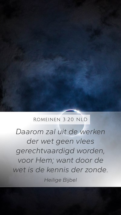 Romeinen 3:20 NLD Bible Verse Image