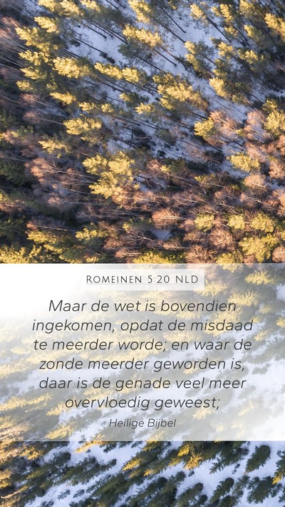 Romeinen 5:20 NLD Bible Verse Image