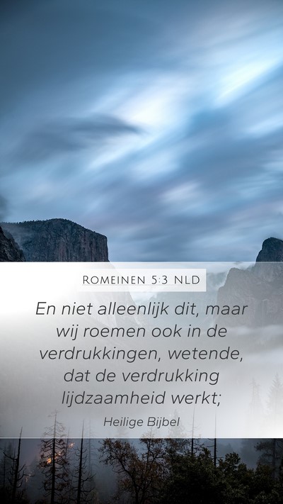 Romeinen 5:3 NLD Bible Verse Image