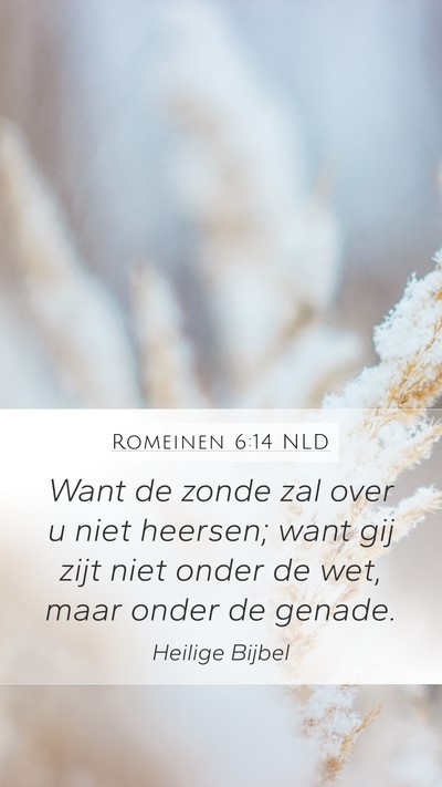 Romeinen 6:14 NLD Bible Verse Image