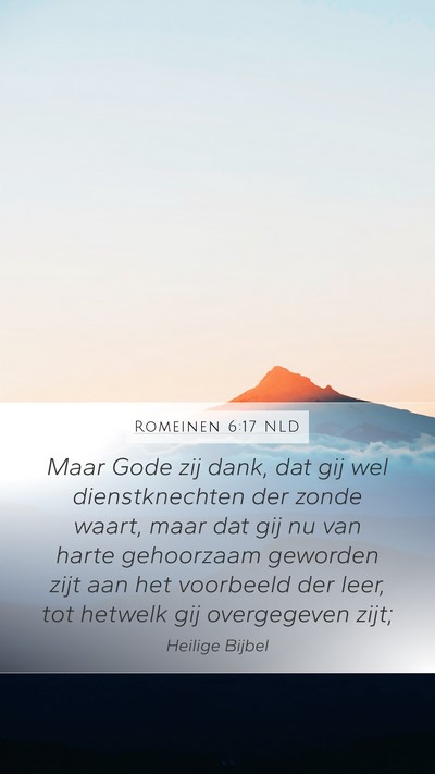 Romeinen 6:17 NLD Bible Verse Image