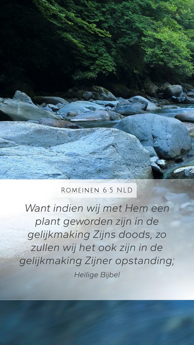 Romeinen 6:5 NLD Bible Verse Image