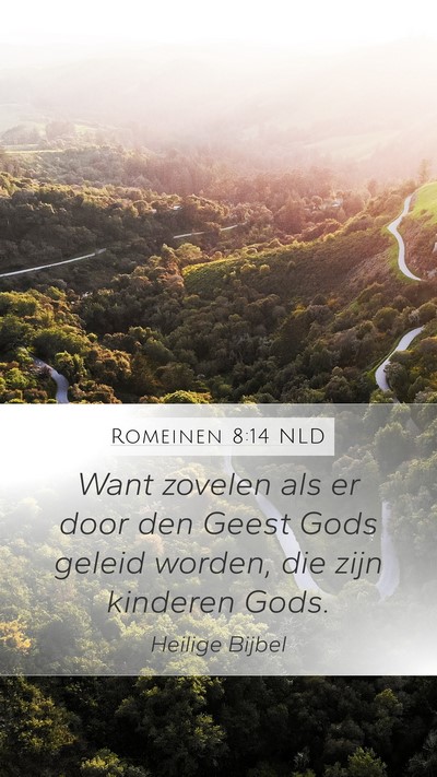 Romeinen 8:14 NLD Bible Verse Image