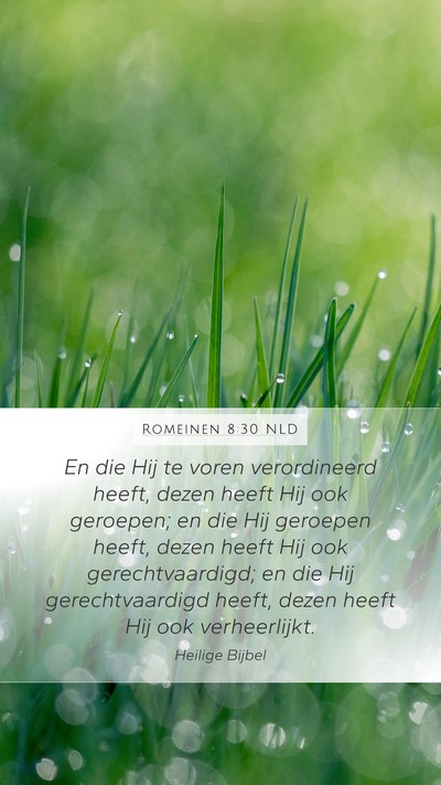 Romeinen 8:30 NLD Bible Verse Image