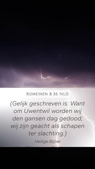 Romeinen 8:36 NLD Bible Verse Image