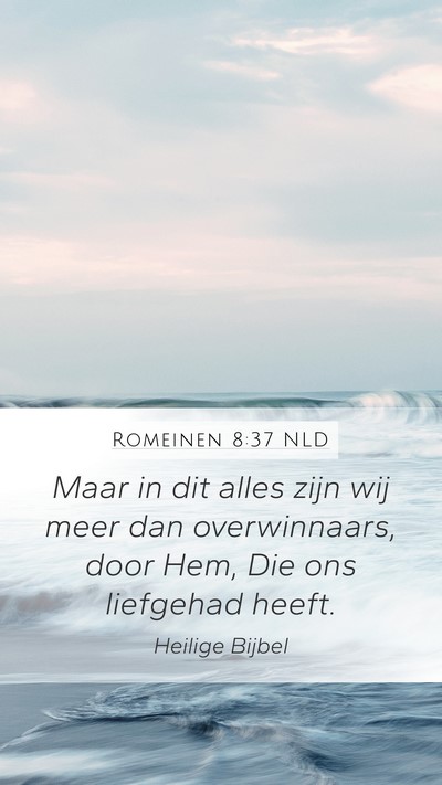 Romeinen 8:37 NLD Bible Verse Image