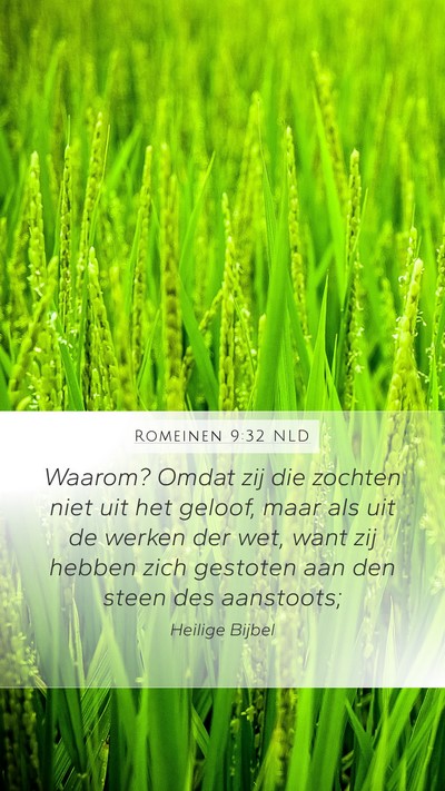 Romeinen 9:32 NLD Bible Verse Image