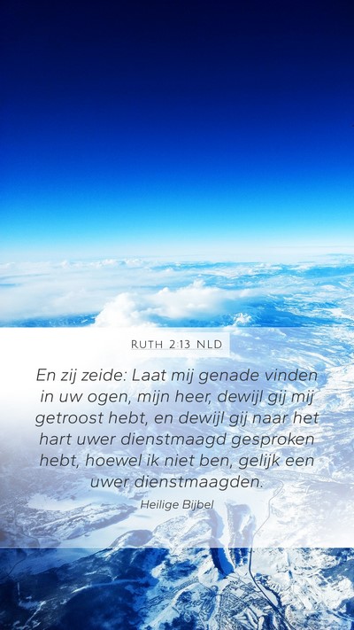 Ruth 2:13 NLD Bible Verse Image