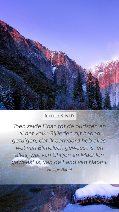 Ruth 4:9 NLD Bible Verse Image