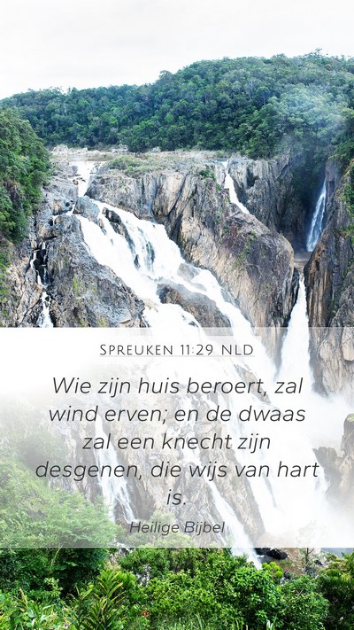 Spreuken 11:29 NLD Bible Verse Image