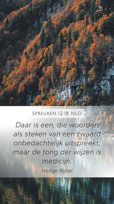 Spreuken 12:18 NLD Bible Verse Image