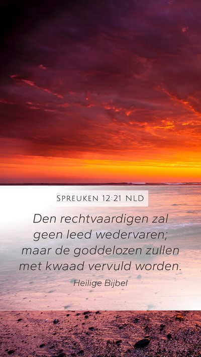 Spreuken 12:21 NLD Bible Verse Image