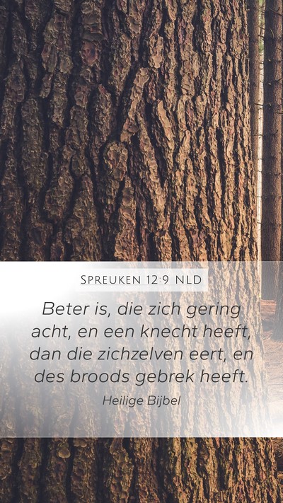 Spreuken 12:9 NLD Bible Verse Image