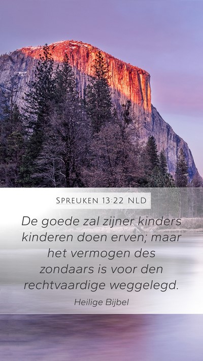 Spreuken 13:22 NLD Bible Verse Image