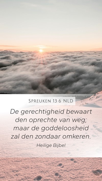 Spreuken 13:6 NLD Bible Verse Image